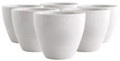 Joefrex Cupping Bowl 228 Ml, 6 Pcs